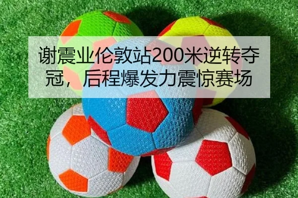 xie-zhen-ye-lun-dun-zhan-mi-ni-zhuan-duo-guan-hou-cheng-bao-fa-li-zhen-jing-sai-chang-3-372.jpg