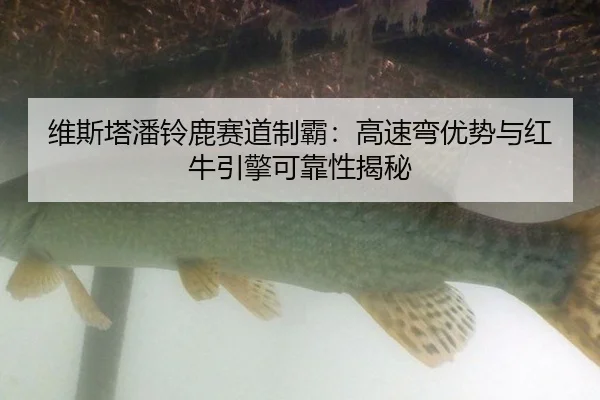 wei-si-ta-pan-ling-lu-sai-dao-zhi-ba-gao-su-wan-you-shi-yu-hong-niu-yin-qing-ke-kao-xing-jie-mi-2-536.jpg