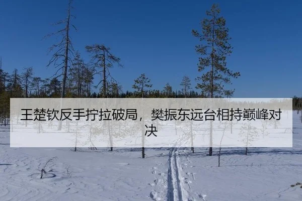 wang-chu-qin-fan-shou-ning-la-po-ju-fan-zhen-dong-yuan-tai-xiang-chi-dian-feng-dui-jue-2-211.jpg
