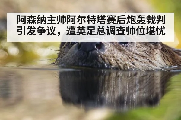 阿森纳主帅阿尔特塔赛后炮轰裁判引发争议,遭英足总调查帅位堪忧